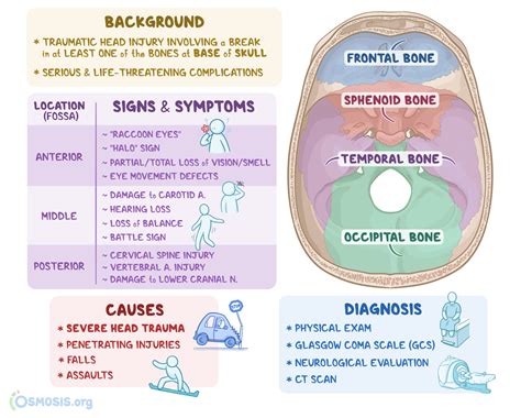 Basilar Skull Fractures